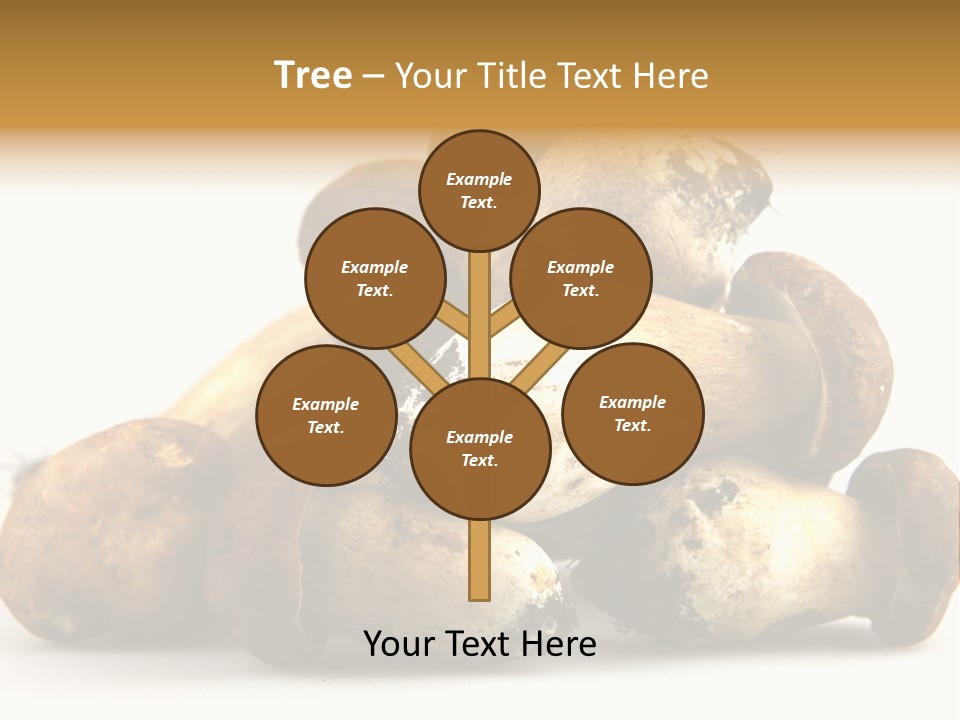 Cep Soup Cheese PowerPoint Template