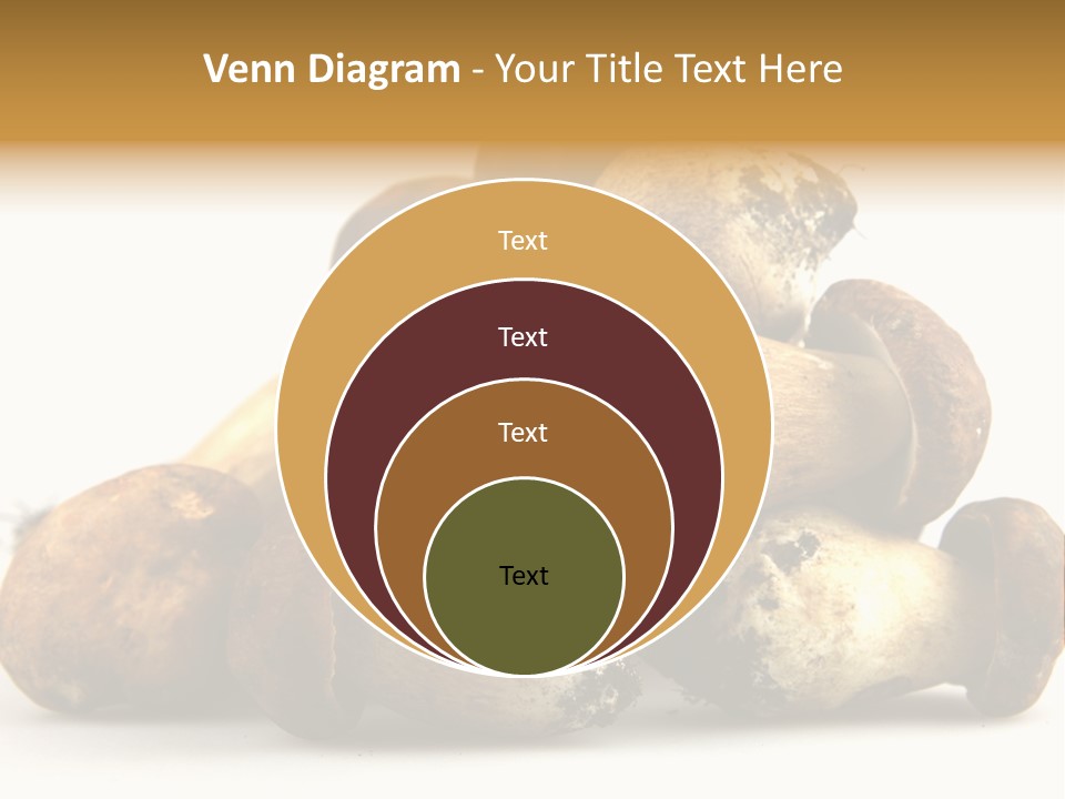 Cep Soup Cheese PowerPoint Template
