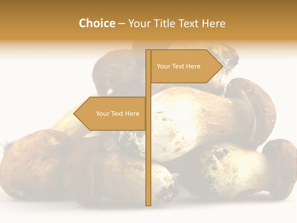 Cep Soup Cheese PowerPoint Template