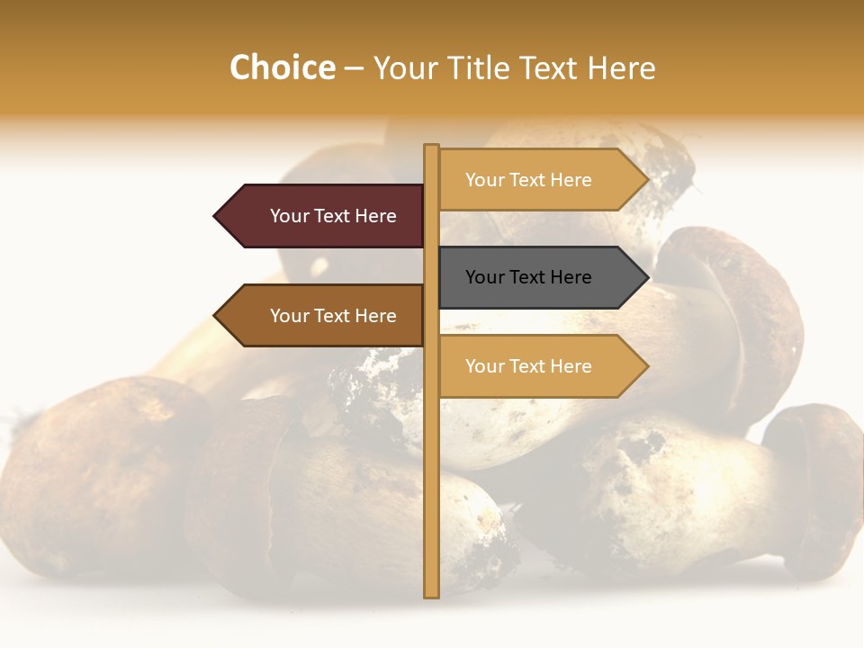 Cep Soup Cheese PowerPoint Template