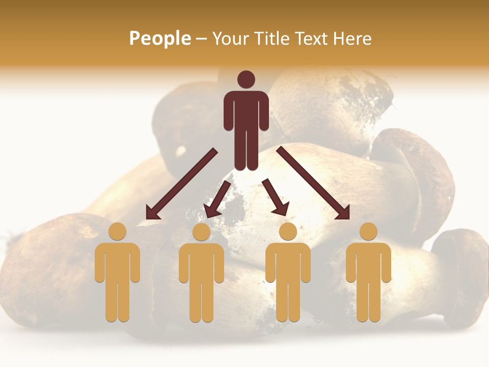 Cep Soup Cheese PowerPoint Template