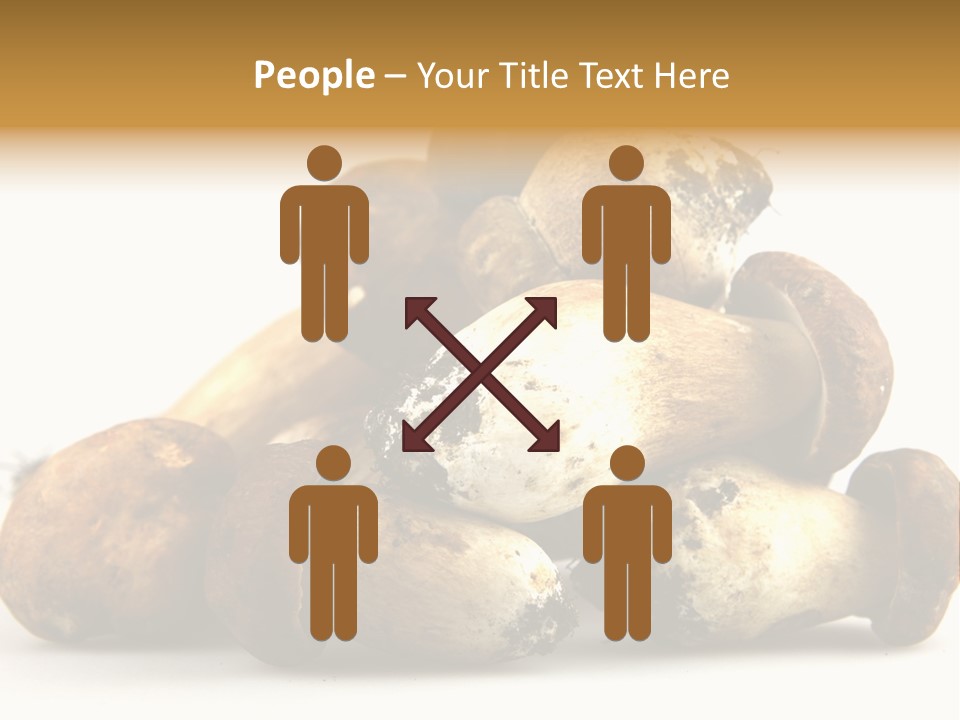 Cep Soup Cheese PowerPoint Template