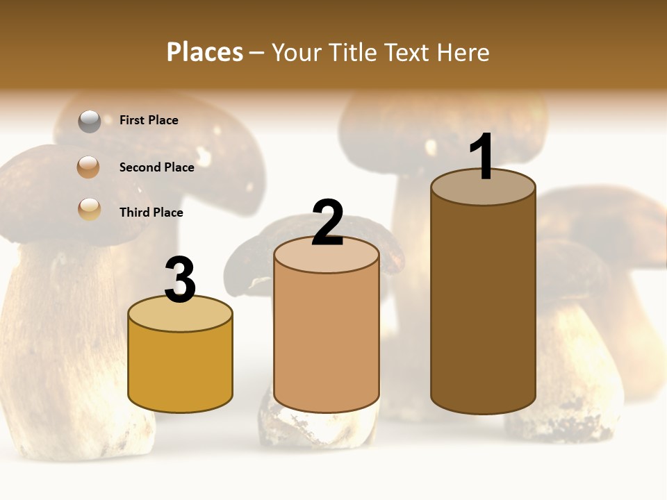 Truffles Grower King Bolete PowerPoint Template