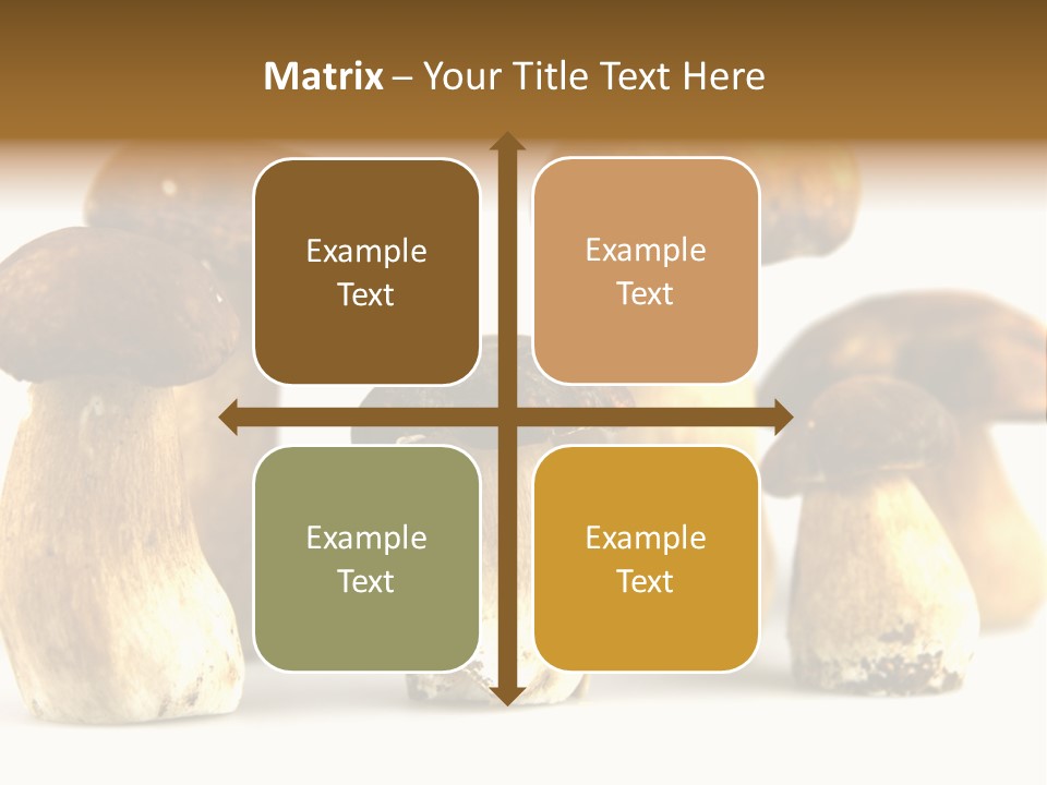 Truffles Grower King Bolete PowerPoint Template