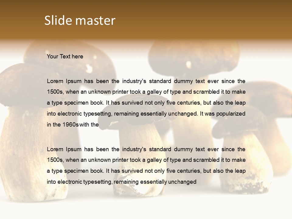 Truffles Grower King Bolete PowerPoint Template