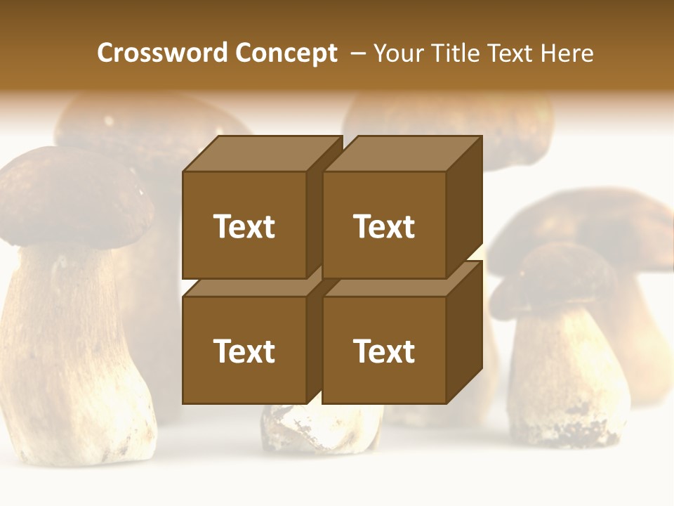 Truffles Grower King Bolete PowerPoint Template