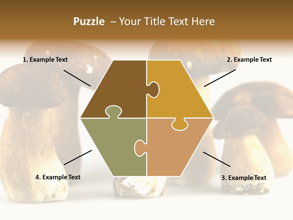 Truffles Grower King Bolete PowerPoint Template