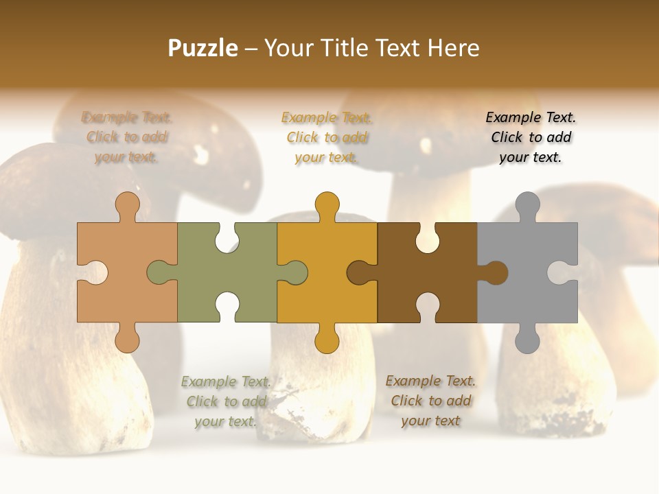 Truffles Grower King Bolete PowerPoint Template