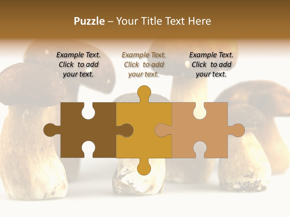 Truffles Grower King Bolete PowerPoint Template