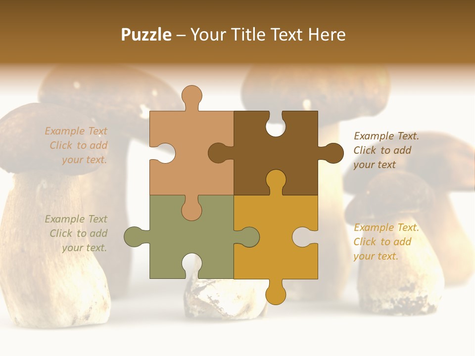 Truffles Grower King Bolete PowerPoint Template