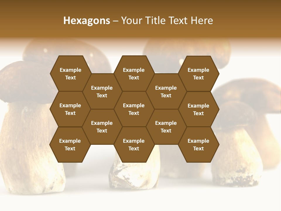 Truffles Grower King Bolete PowerPoint Template