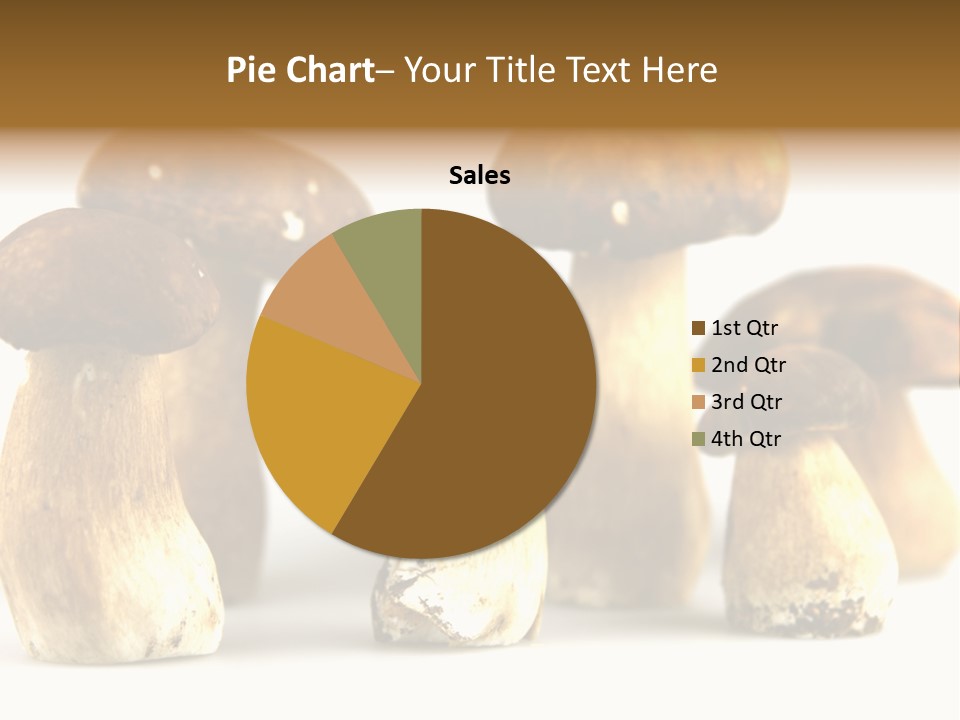 Truffles Grower King Bolete PowerPoint Template