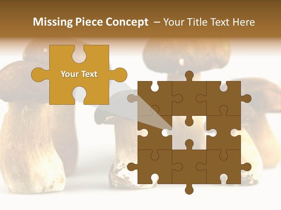 Truffles Grower King Bolete PowerPoint Template