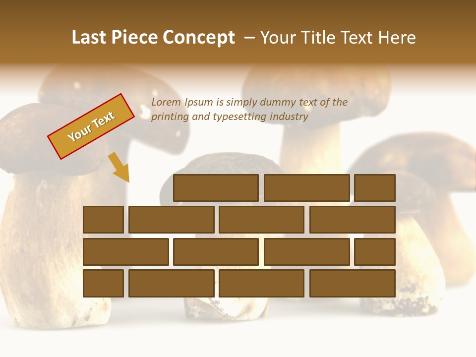 Truffles Grower King Bolete PowerPoint Template
