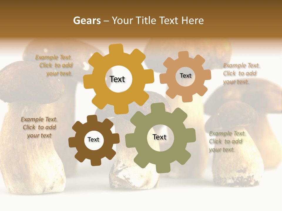 Truffles Grower King Bolete PowerPoint Template