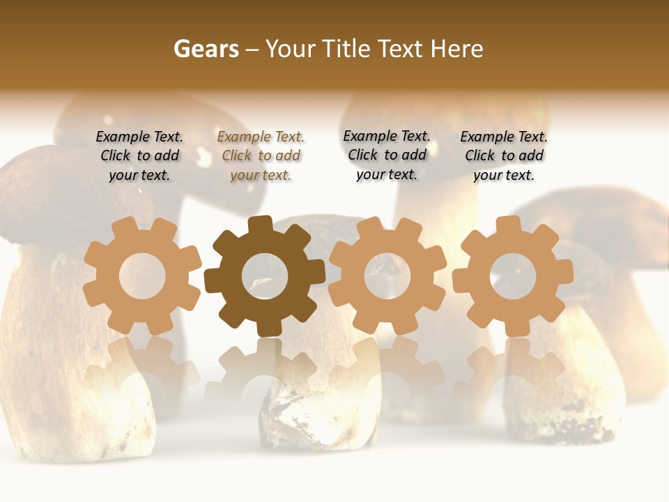 Truffles Grower King Bolete PowerPoint Template