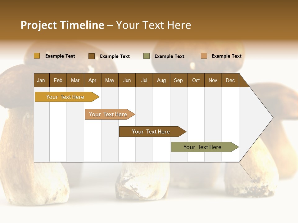 Truffles Grower King Bolete PowerPoint Template