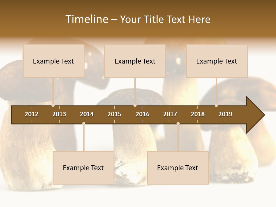 Truffles Grower King Bolete PowerPoint Template