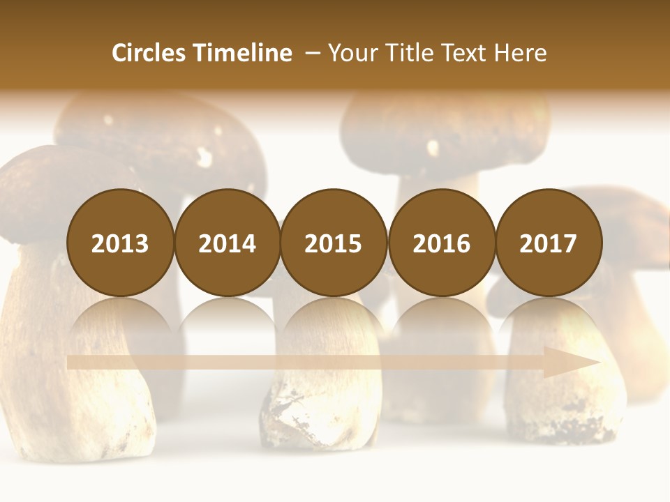 Truffles Grower King Bolete PowerPoint Template