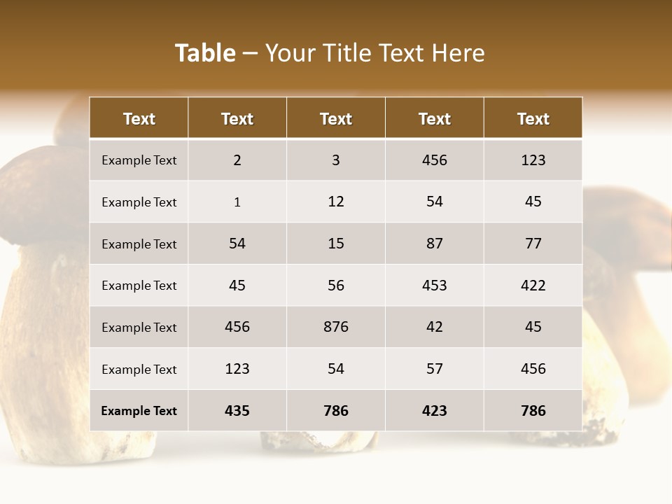 Truffles Grower King Bolete PowerPoint Template