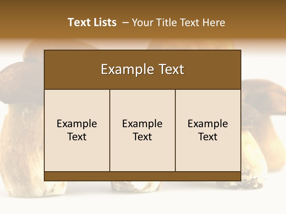 Truffles Grower King Bolete PowerPoint Template