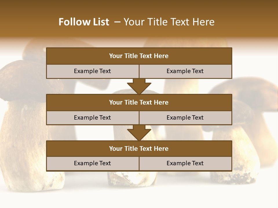 Truffles Grower King Bolete PowerPoint Template
