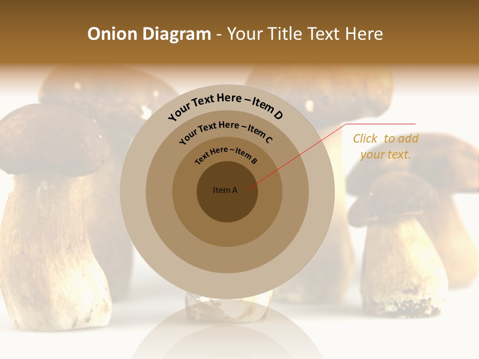 Truffles Grower King Bolete PowerPoint Template