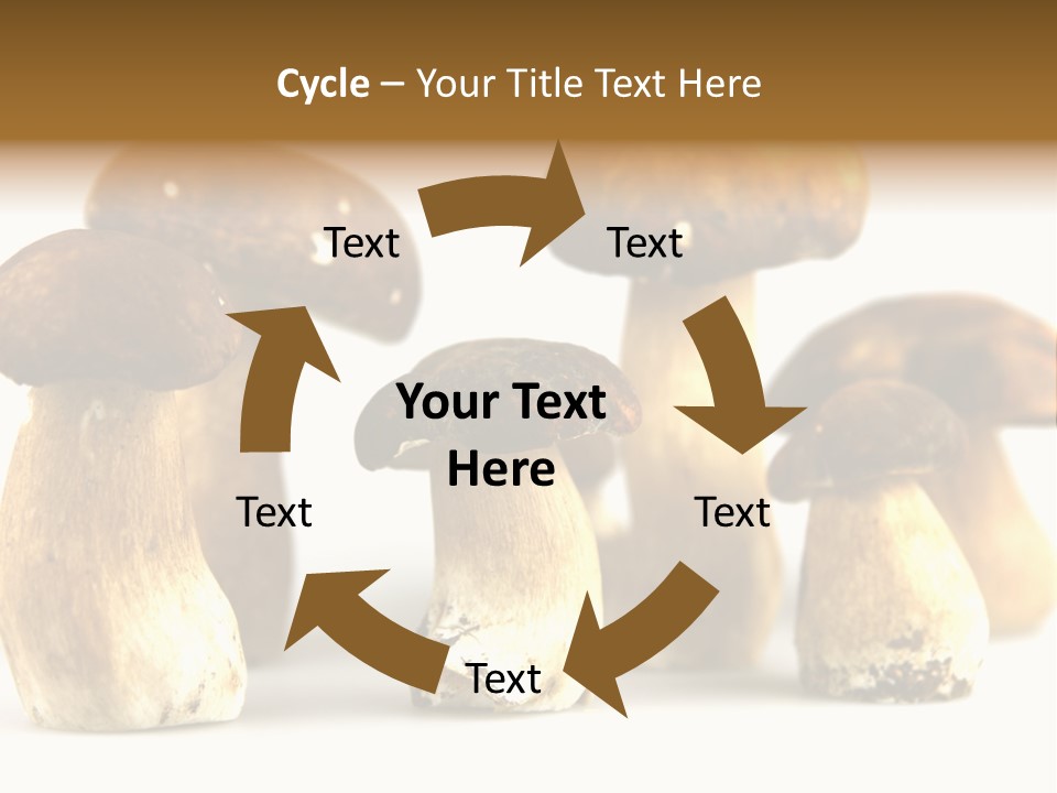 Truffles Grower King Bolete PowerPoint Template