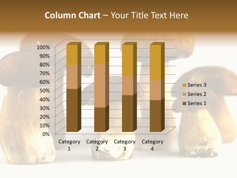 Truffles Grower King Bolete PowerPoint Template