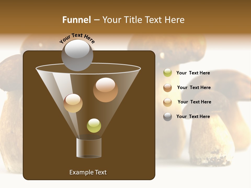 Truffles Grower King Bolete PowerPoint Template