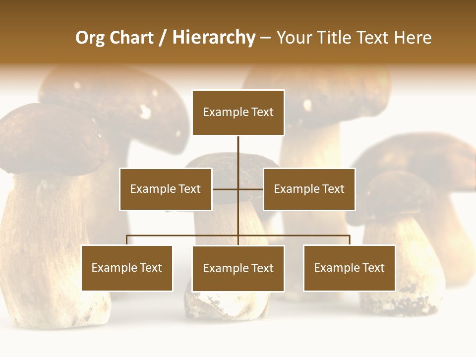 Truffles Grower King Bolete PowerPoint Template