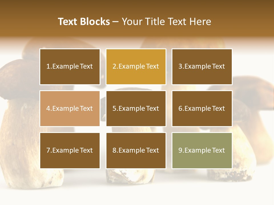 Truffles Grower King Bolete PowerPoint Template