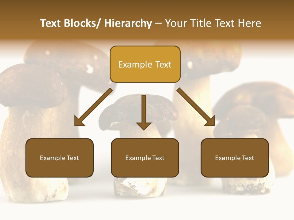 Truffles Grower King Bolete PowerPoint Template