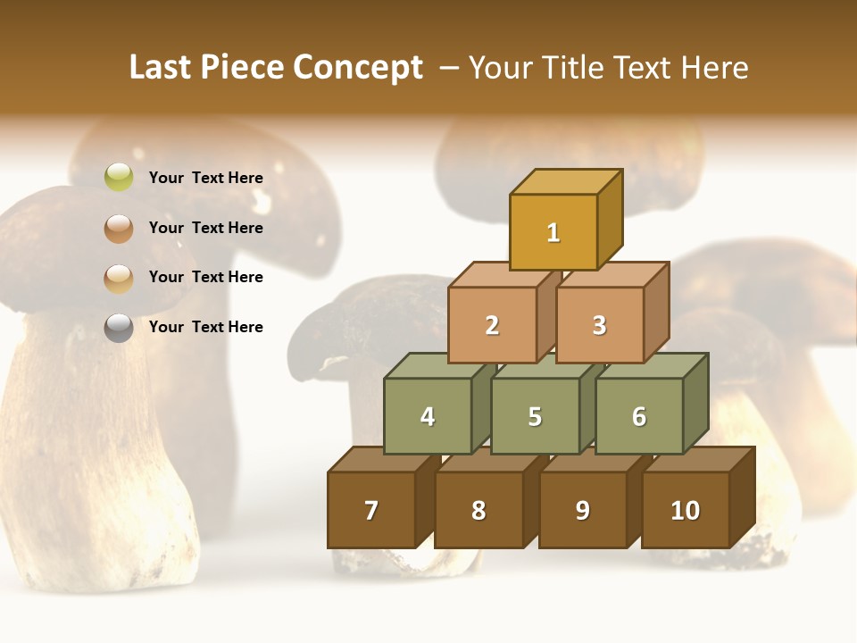 Truffles Grower King Bolete PowerPoint Template
