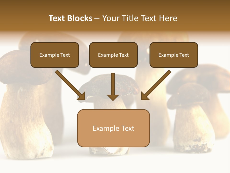 Truffles Grower King Bolete PowerPoint Template