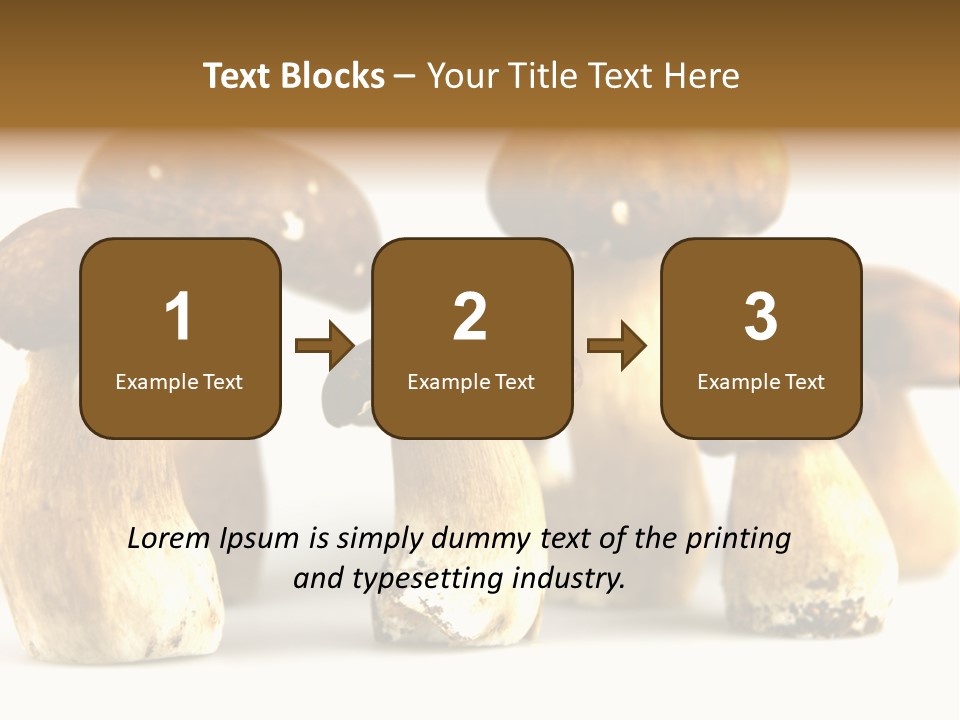 Truffles Grower King Bolete PowerPoint Template