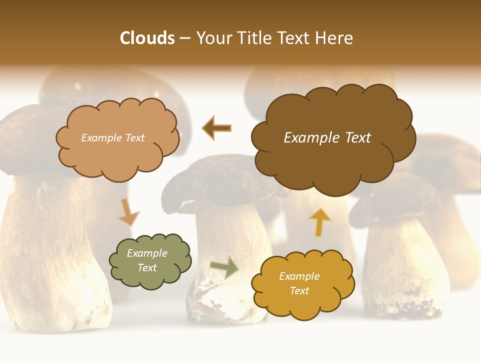 Truffles Grower King Bolete PowerPoint Template