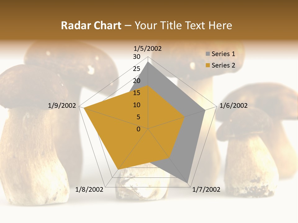 Truffles Grower King Bolete PowerPoint Template