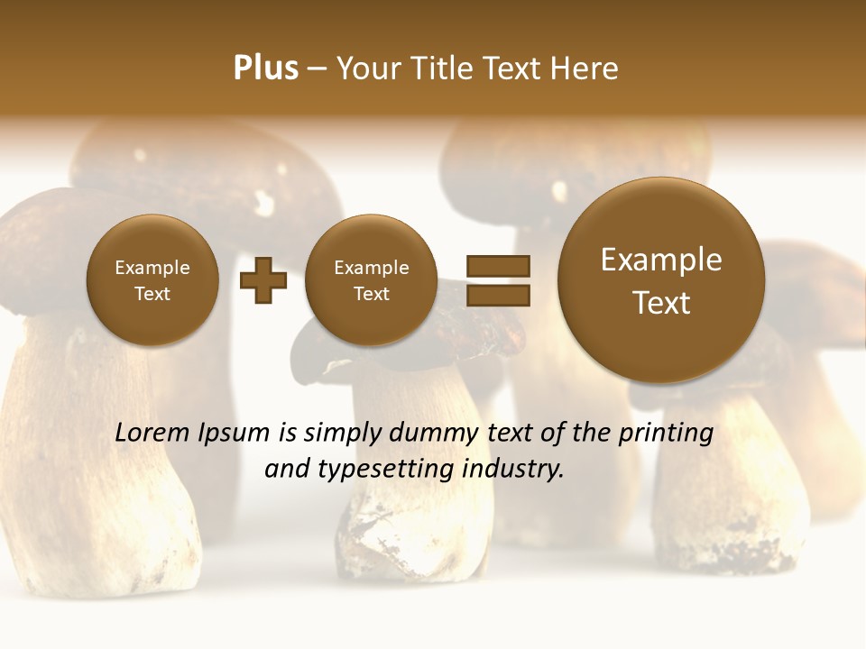Truffles Grower King Bolete PowerPoint Template