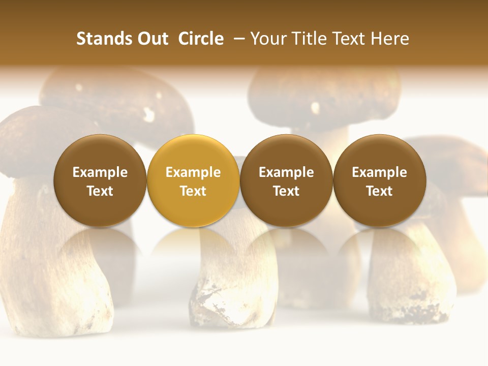 Truffles Grower King Bolete PowerPoint Template