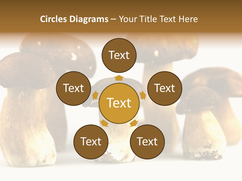 Truffles Grower King Bolete PowerPoint Template