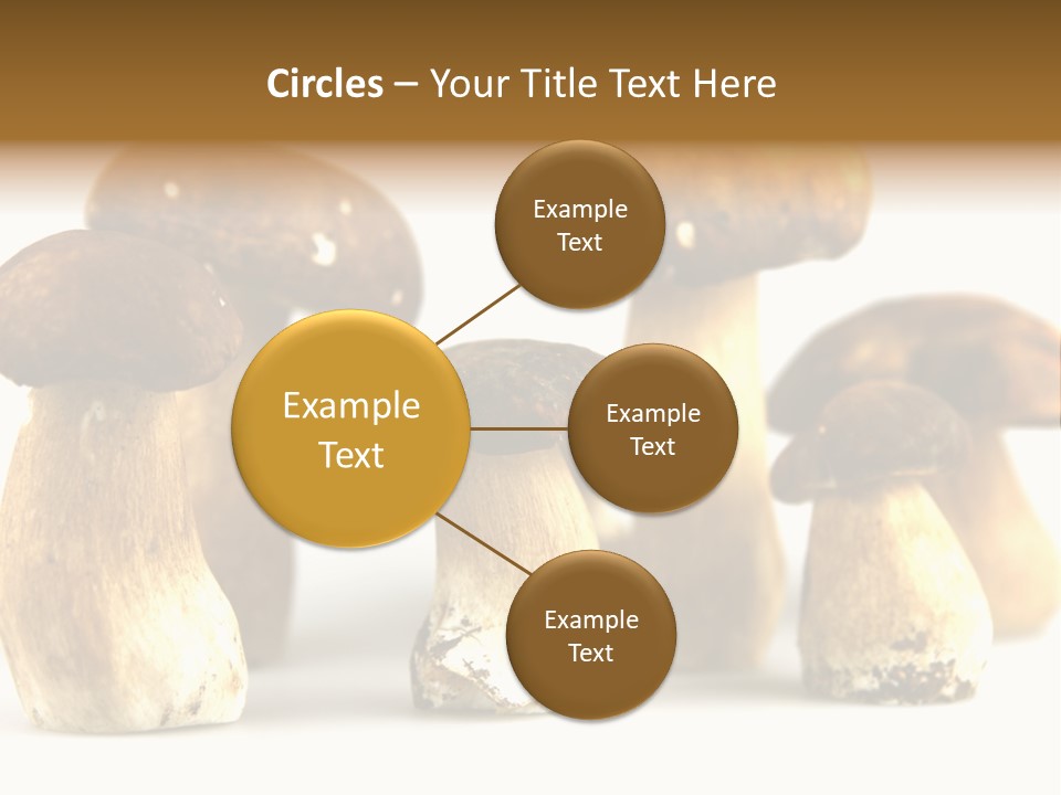 Truffles Grower King Bolete PowerPoint Template