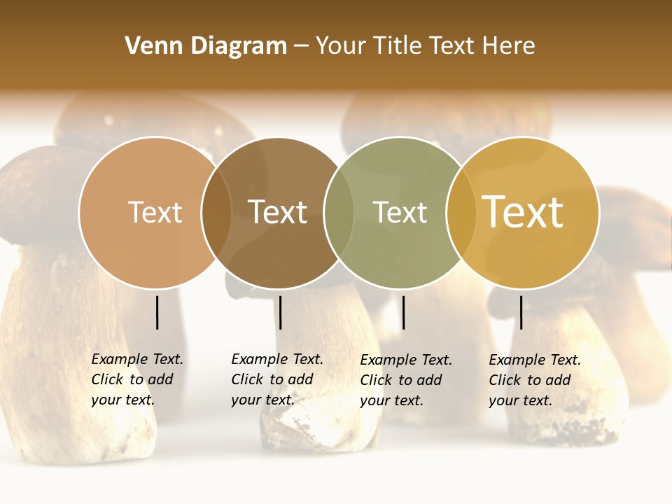 Truffles Grower King Bolete PowerPoint Template