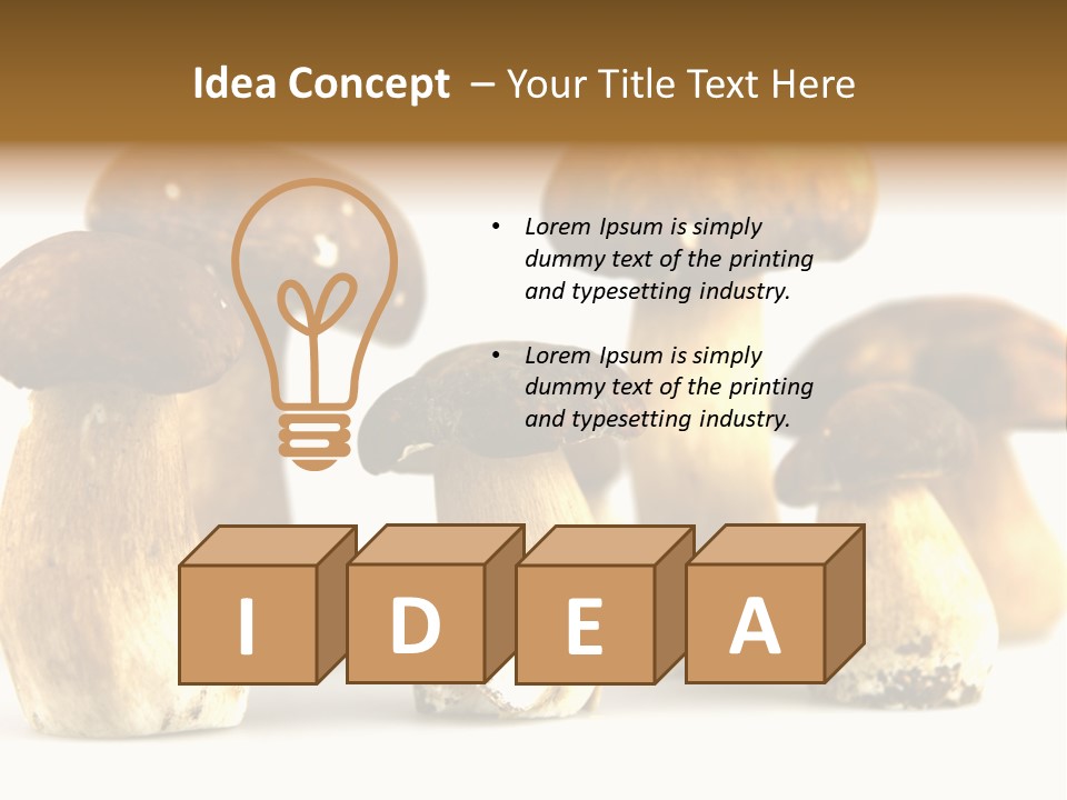 Truffles Grower King Bolete PowerPoint Template