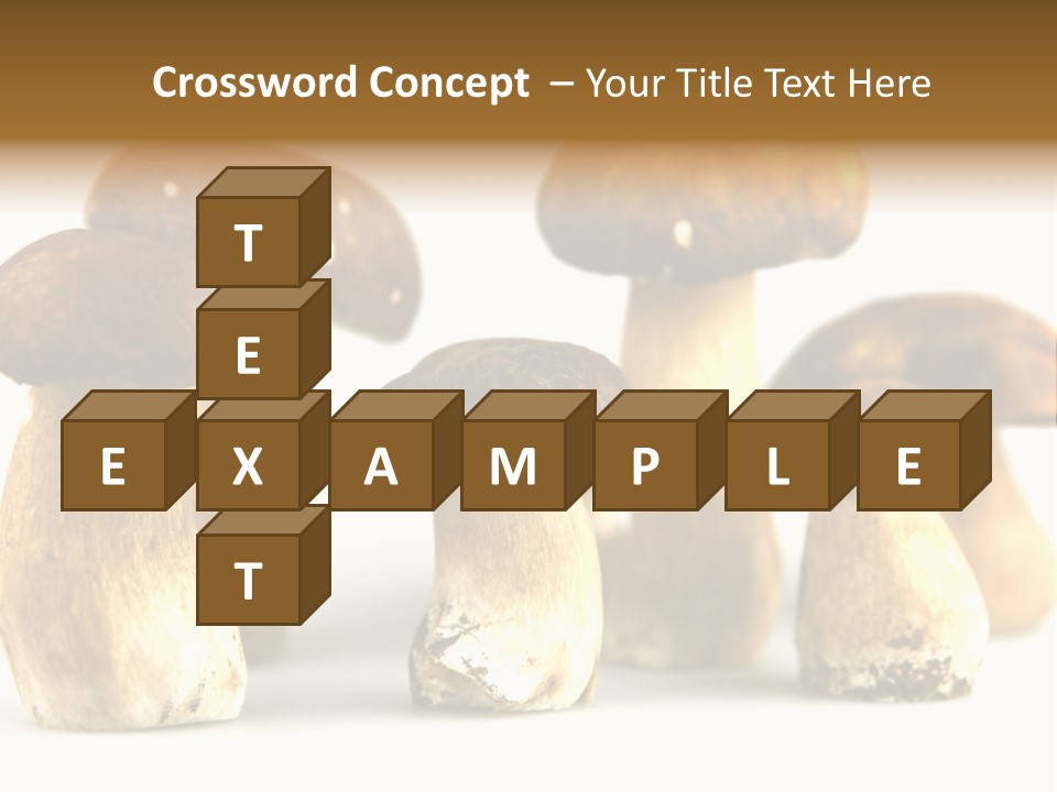 Truffles Grower King Bolete PowerPoint Template