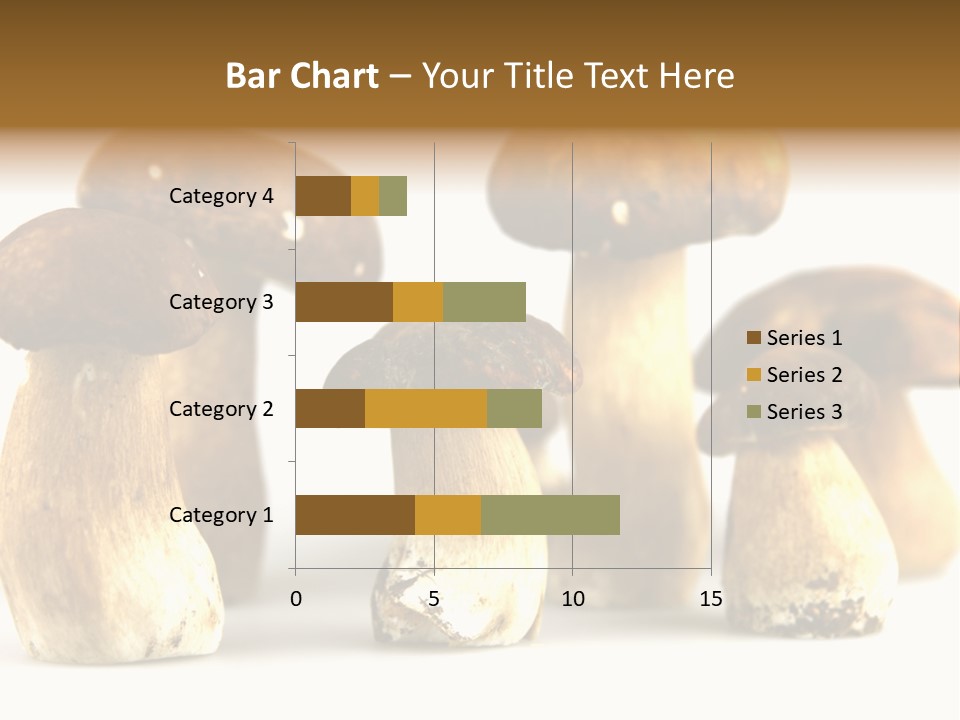Truffles Grower King Bolete PowerPoint Template