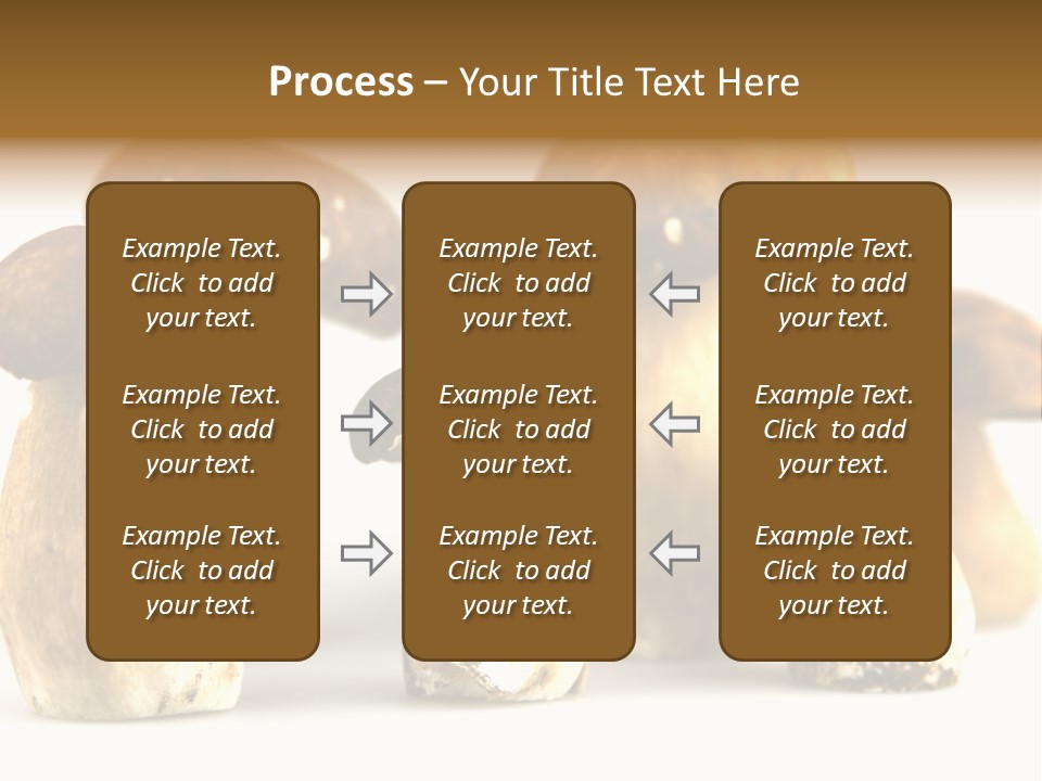 Truffles Grower King Bolete PowerPoint Template