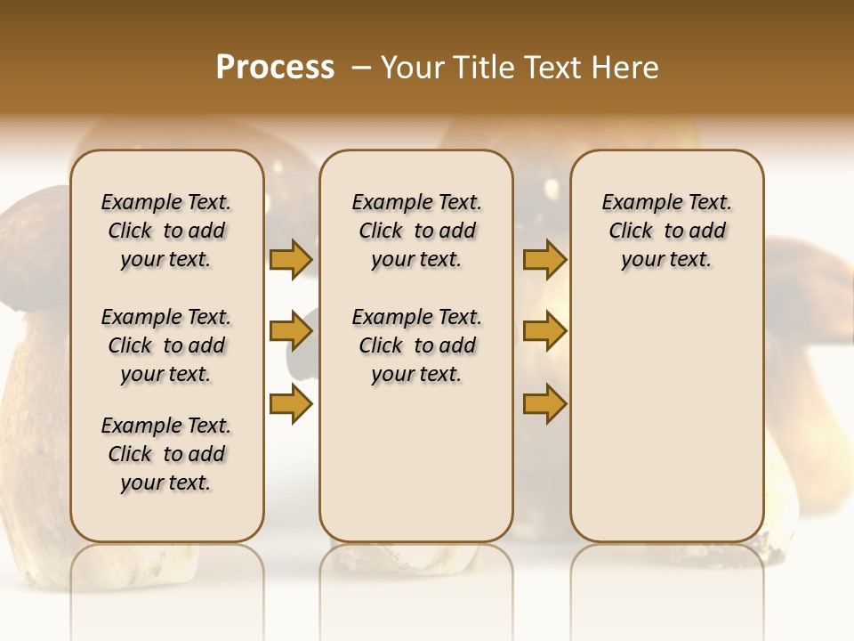 Truffles Grower King Bolete PowerPoint Template