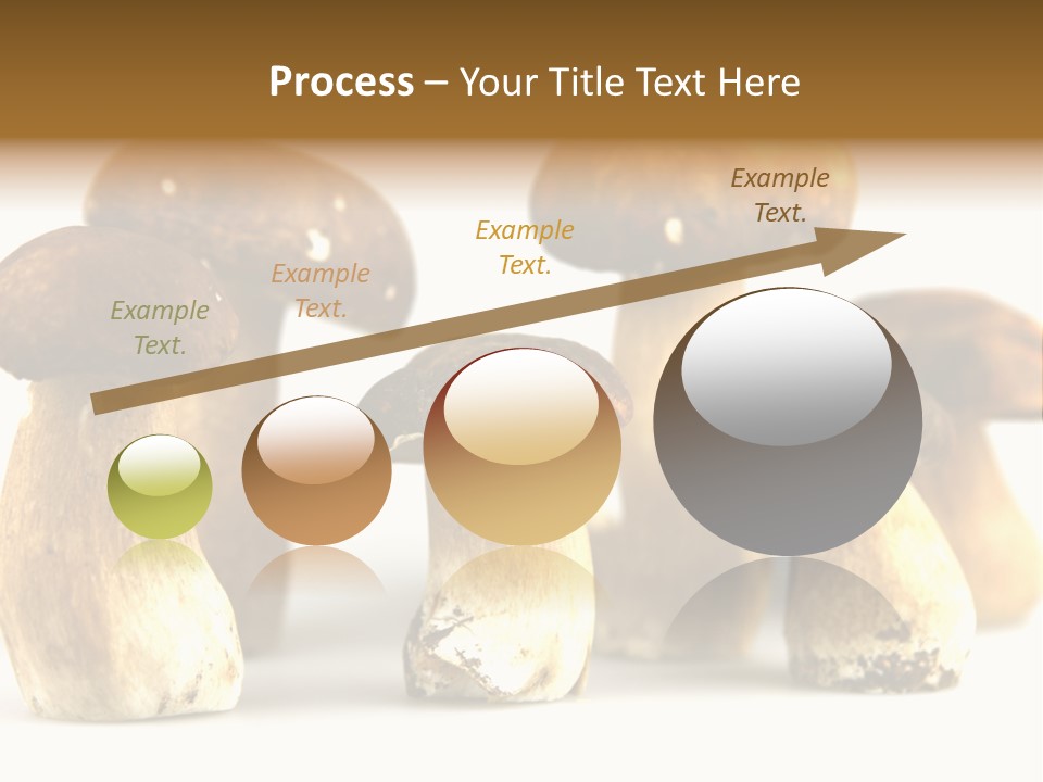 Truffles Grower King Bolete PowerPoint Template