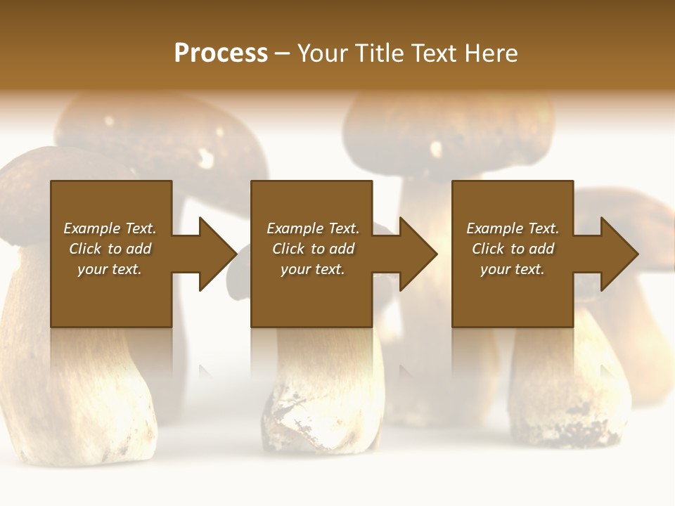 Truffles Grower King Bolete PowerPoint Template